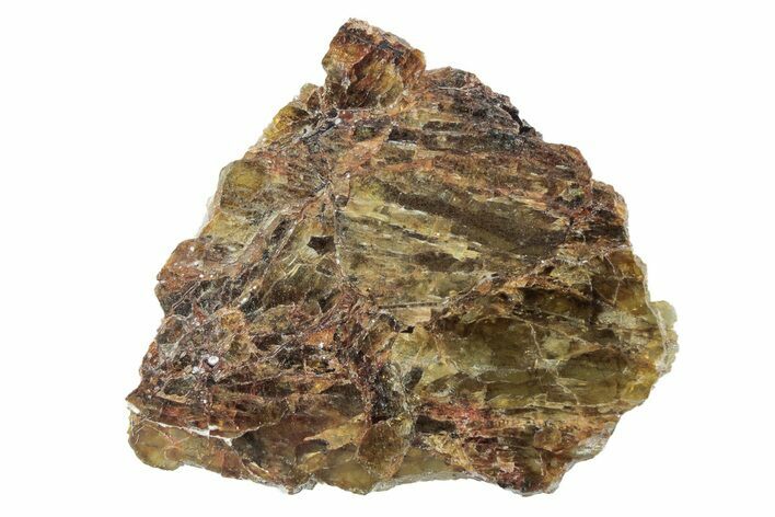 Diogenite Meteorite ( g) Slice - From Vesta Micro-Planet #281014